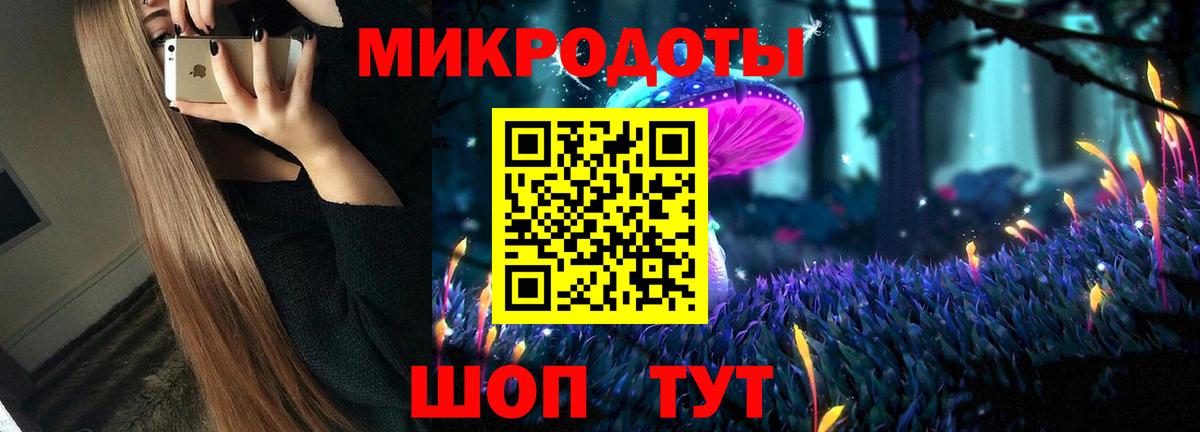 Псилоцибиновые грибы Psilocybine cubensis Заволжье
