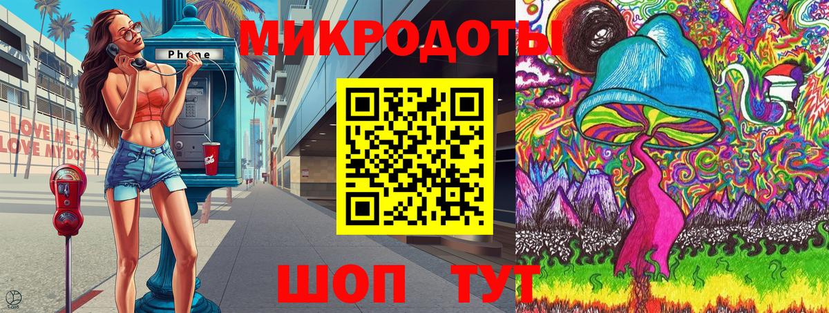 Заволжье  Псилоцибиновые грибы прущие грибы  Вход с VPN 